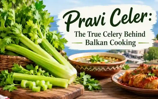 Pravi Celer