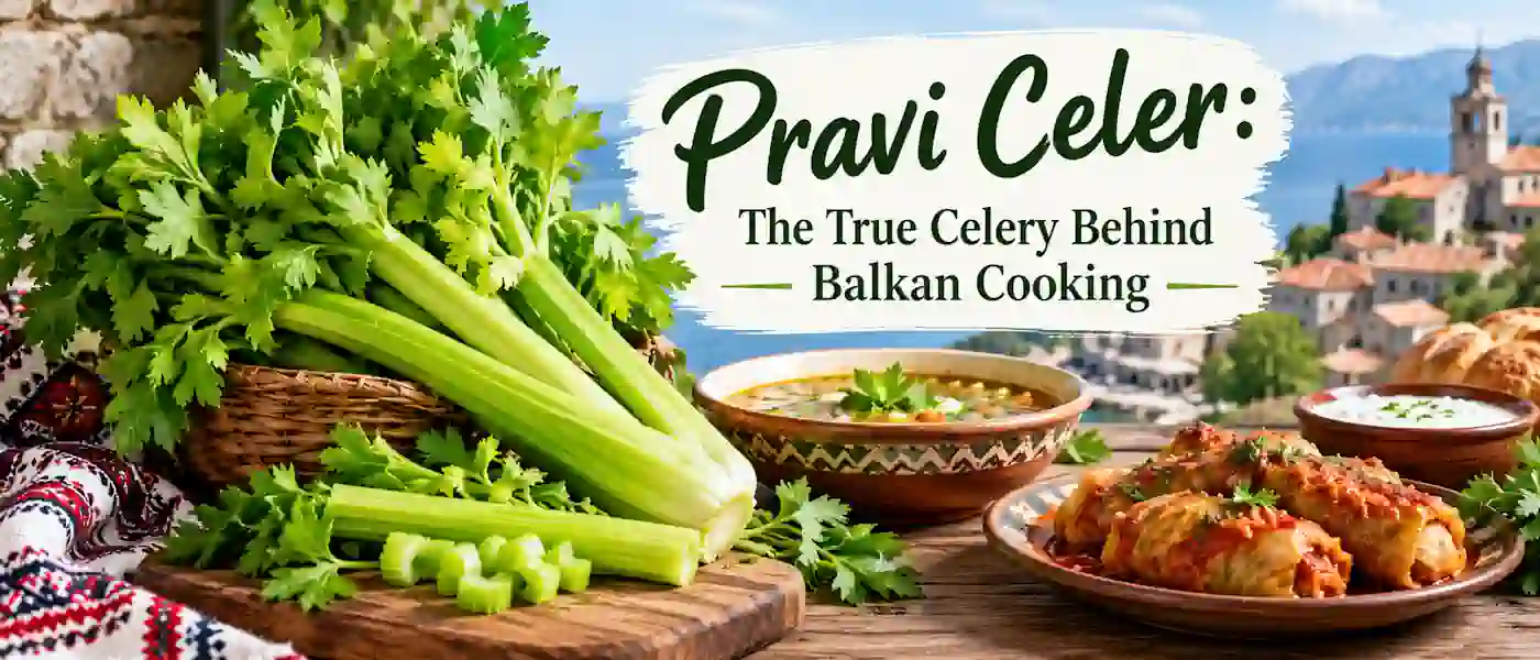 Pravi Celer