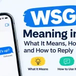 WSG Meaning in Text: What It Means, How to Use It and How to Reply